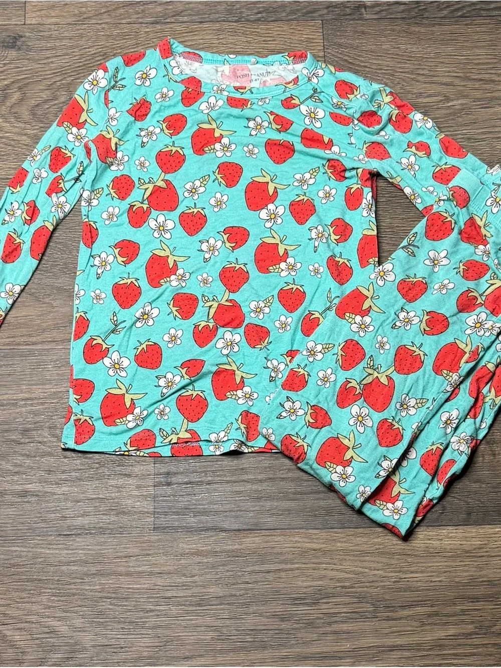 Posh Peanut Aqua and Red Strawberry Pajama Set